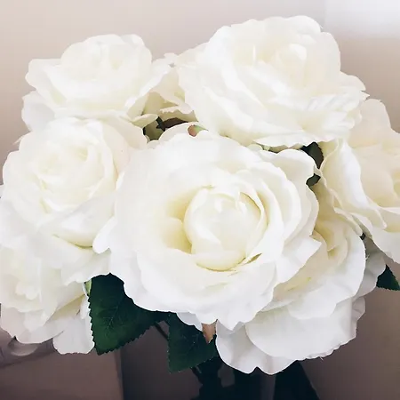 100 Sqm Luxury Wilanow Appartement *