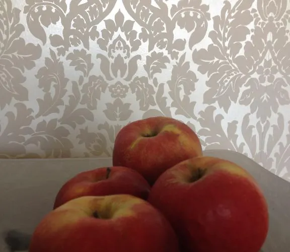 アパート 100 Sqm Luxury Wilanow ワルシャワ