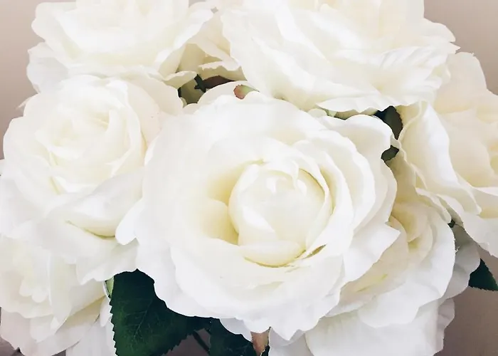 100 Sqm Luxury Wilanow アパート *